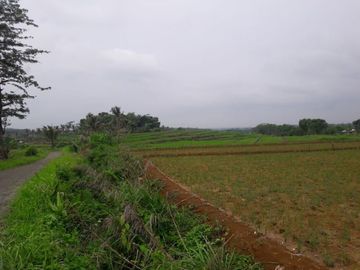 Jual Cepat Tanah Persawahan 20 Ha Di Ciracap Kota Sukabumi