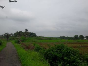 Jual Cepat Tanah Persawahan 20 Ha Di Ciracap Kota Sukabumi