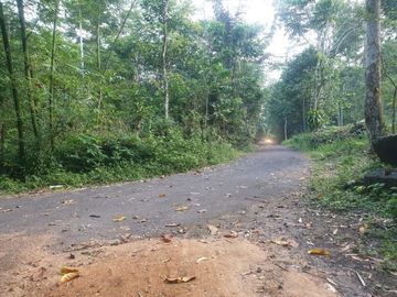 Nabung Tanah Jogja Dekat Wisata Kaliurang? Pasti Bisa