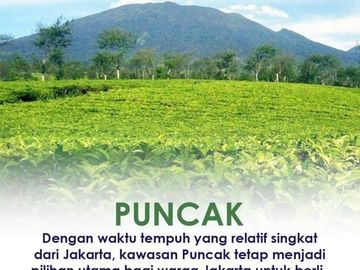 Investasi Villa 2LT Murah Garansi Income di Puncak Cipanas Cianjur