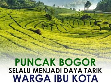 Investasi Villa 2LT Murah Garansi Income di Puncak Cipanas Cianjur