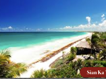 Departamento con acceso directo a la alberca (swim up), areas comunes rodeadas
