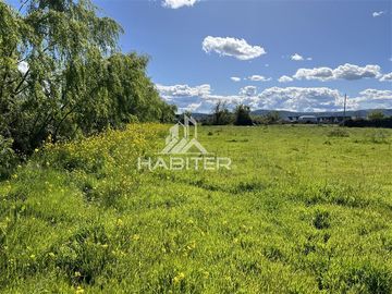 Sitio en Venta en Los Patos