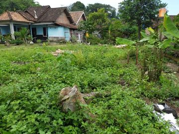 Tanah Pekarangan Dijual di Margoagung, Seyegan