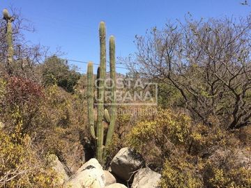 Oportunidad Venta Terreno en condominio en Hijuelas