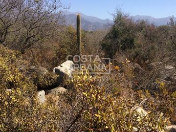 Oportunidad Venta Terreno en condominio en Hijuelas