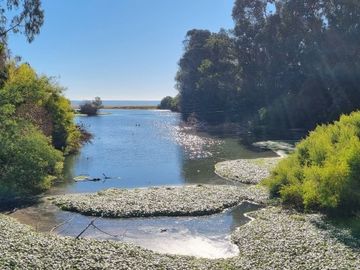 PAPUDO LAGUNA