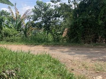 Tanah Cicalengka 10 Menit Ke Jl. Raya Nagreg SHM 600ribuan/m