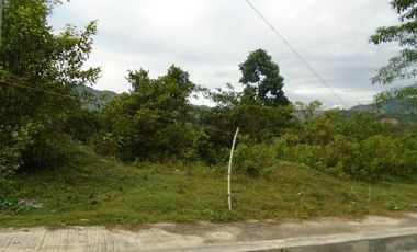 280 SQM Subdivision Lot for Sale in Greenwoods near Talamban Cebu City