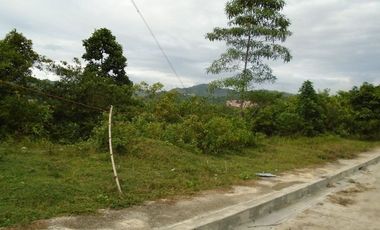 280 SQM Subdivision Lot for Sale in Greenwoods near Talamban Cebu City