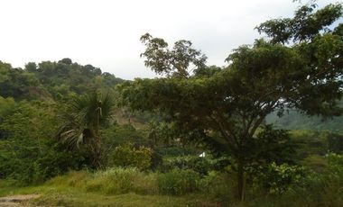 280 SQM Subdivision Lot for Sale in Greenwoods near Talamban Cebu City