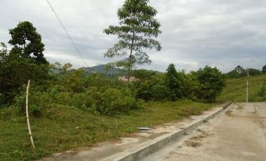 280 SQM Subdivision Lot for Sale in Greenwoods near Talamban Cebu City