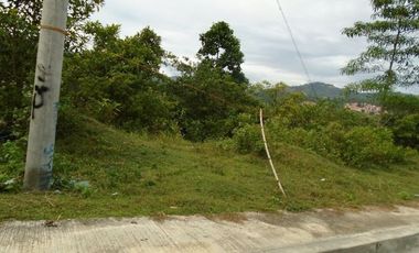 280 SQM Subdivision Lot for Sale in Greenwoods near Talamban Cebu City
