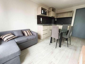 Departamento Briones luco ID: 177087r