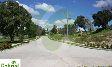 High End Lot only subdivision in Maria Luisa North