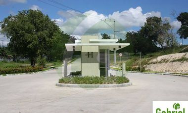 High End Lot only subdivision in Maria Luisa North