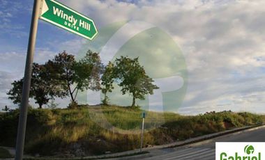 High End Lot only subdivision in Maria Luisa North