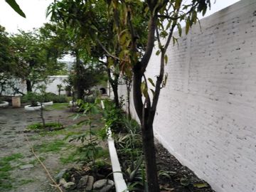 TERRENO EN TEMIXCO