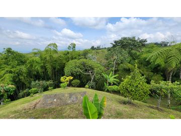 Se vende finca en vía Armenia, entrada 10.