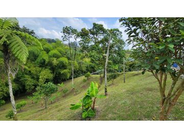 Se vende finca en vía Armenia, entrada 10.