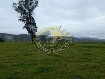 Terreno de venta en Tarqui – código:12232