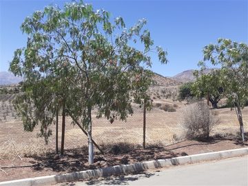 Parcela APE venta Colina-Hacienda Chacabuco - usos regulados