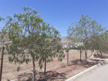 Parcela APE venta Colina-Hacienda Chacabuco - usos regulados