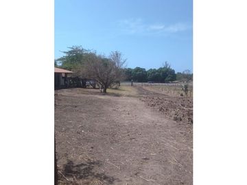 MAGNIFICO RANCHO A ORILLA DE CARRETERA EN TONALÀ