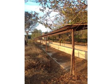 MAGNIFICO RANCHO A ORILLA DE CARRETERA EN TONALÀ