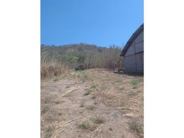 MAGNIFICO RANCHO A ORILLA DE CARRETERA EN TONALÀ