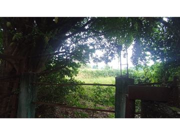 MAGNIFICO RANCHO A ORILLA DE CARRETERA EN TONALÀ