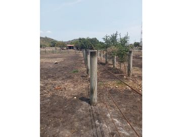 MAGNIFICO RANCHO A ORILLA DE CARRETERA EN TONALÀ