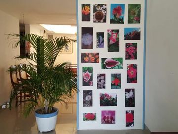 casa en venta en ciudad jardín. Cod V13270