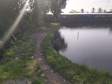 Tanah Strategis di Cianjur Di Bawah Harga Pasaran | PURNAMA