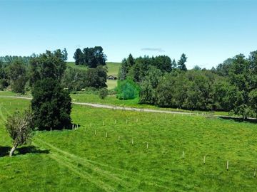 Espectaculares Parcelas en venta en Puyehue