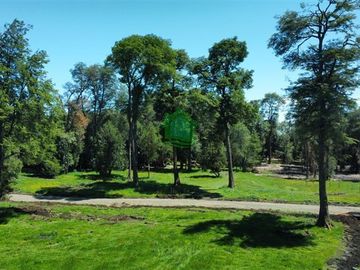 Espectaculares Parcelas en venta en Puyehue