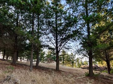 Sitio en Venta en Loteo Alto Boyeruca, Boyeruca, Vichuquén