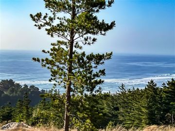 Sitio en Venta en Loteo Alto Boyeruca, Boyeruca, Vichuquén