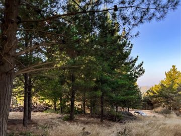 Sitio en Venta en Loteo Alto Boyeruca, Boyeruca, Vichuquén