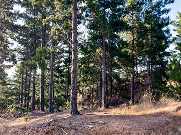 Sitio en Venta en Loteo Alto Boyeruca, Boyeruca, Vichuquén