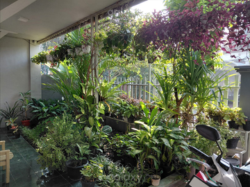 Rumah Bagus Siap Huni Sulfat Blimbing Malang GMK04050