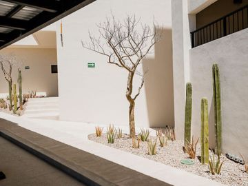 Penthouse con rooftop privado, jacuzzi, vista al mar en venta, Cabo San Lucas