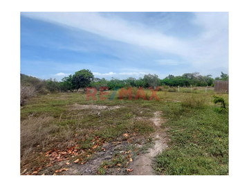 SE VENDE TERRRENO EN MONSEFÚ – CALAZAN
📌 Partida electrónica independizada e inscrito en SUNARP.
📌 Servicio de energía eléctrica 
📌 AREA: 540.00m2