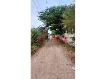 SE VENDE TERRRENO EN MONSEFÚ – CALAZAN
📌 Partida electrónica independizada e inscrito en SUNARP.
📌 Servicio de energía eléctrica 
📌 AREA: 540.00m2