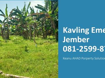 tanah kavling siap bangun emersi jember