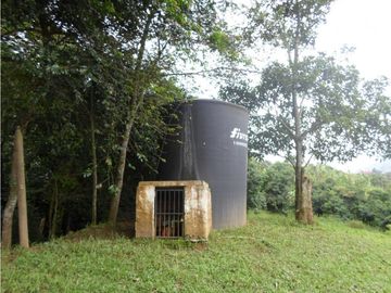 VENTA  DE FINCA EN  AMAG - SUROESTE ANTIOQUEÑO