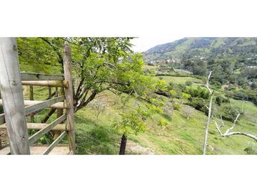 VENTA  DE FINCA EN  AMAG - SUROESTE ANTIOQUEÑO