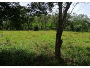 VENDO FINCA EN CAPIRA 4 HECTREAS 3856MTS