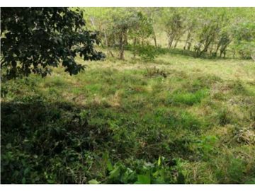 VENDO FINCA EN CAPIRA 4 HECTREAS 3856MTS