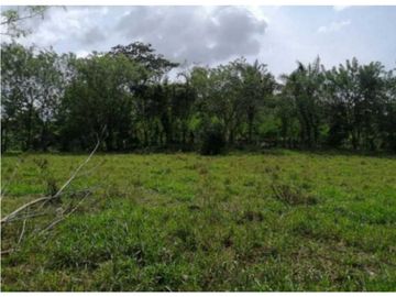 VENDO FINCA EN CAPIRA 4 HECTREAS 3856MTS